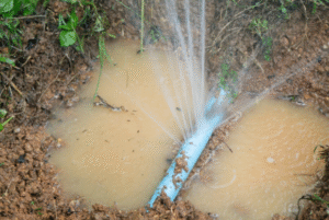 When to Call an Emergency Plumber: Signs You Shouldn’t Ignore